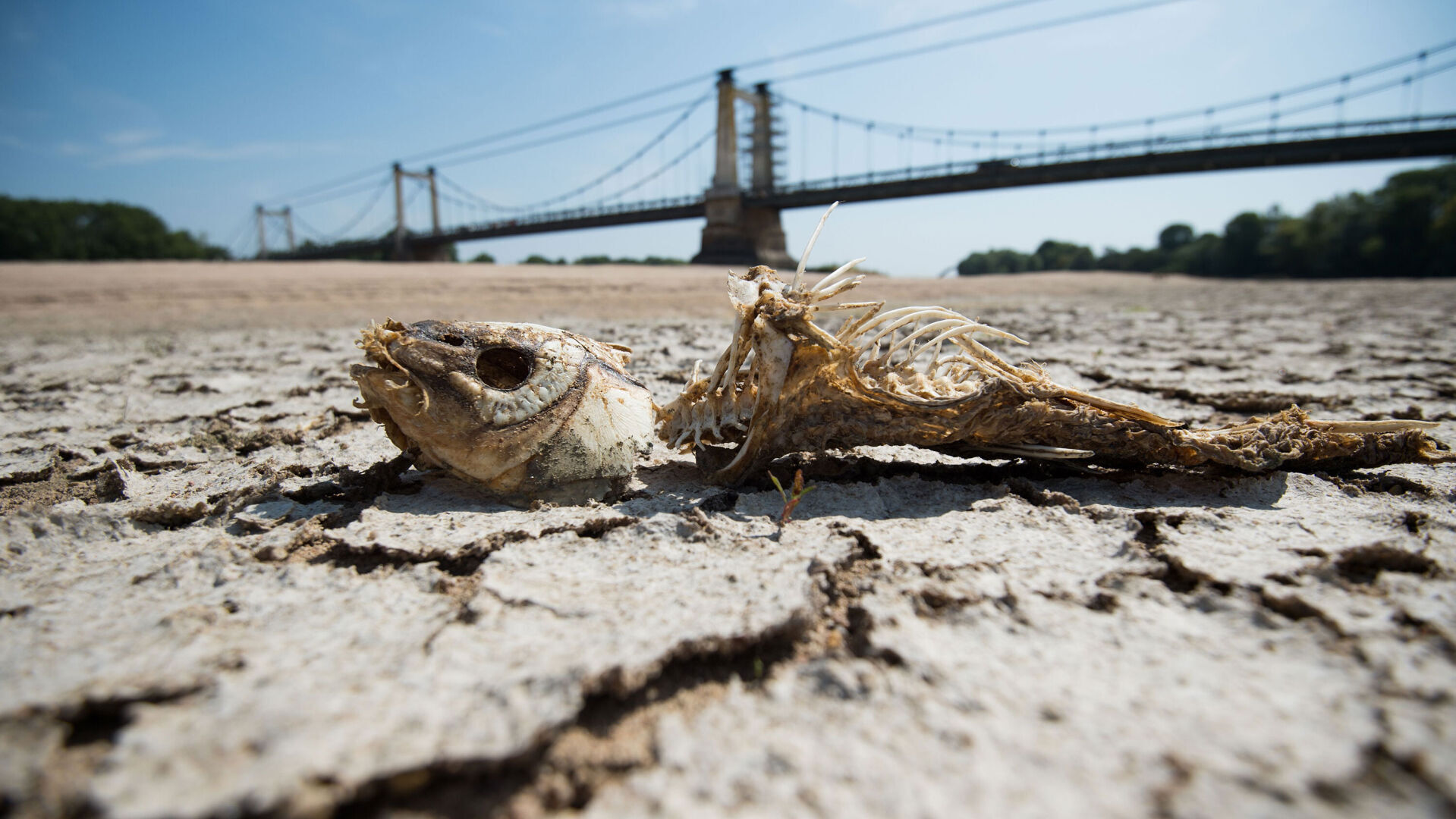 By the end of the century, summer weather could last half a year (and that's not a good thing)